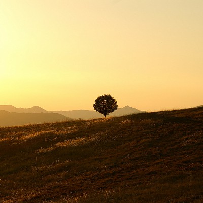 Aaron, Tunbridge Wells